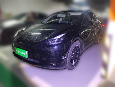 Tesla Model Y 2023 Tesla Model Y 2023 car image