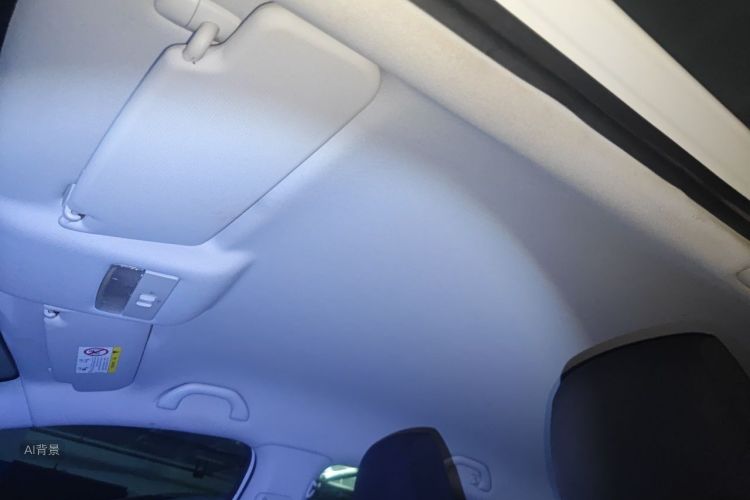 Volkswagen Polo 2018 car image #20