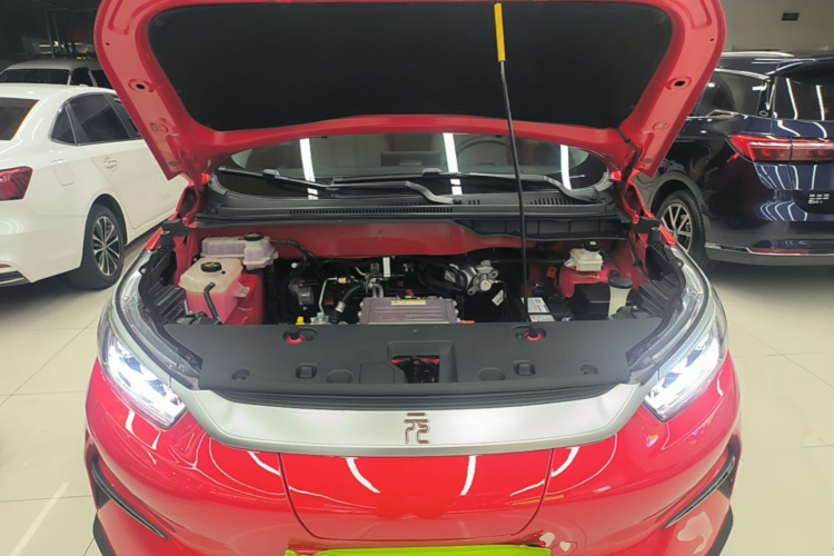 BYD Yuan Pro 2022 #20 BYD Yuan Pro 2022 immagine di auto #20