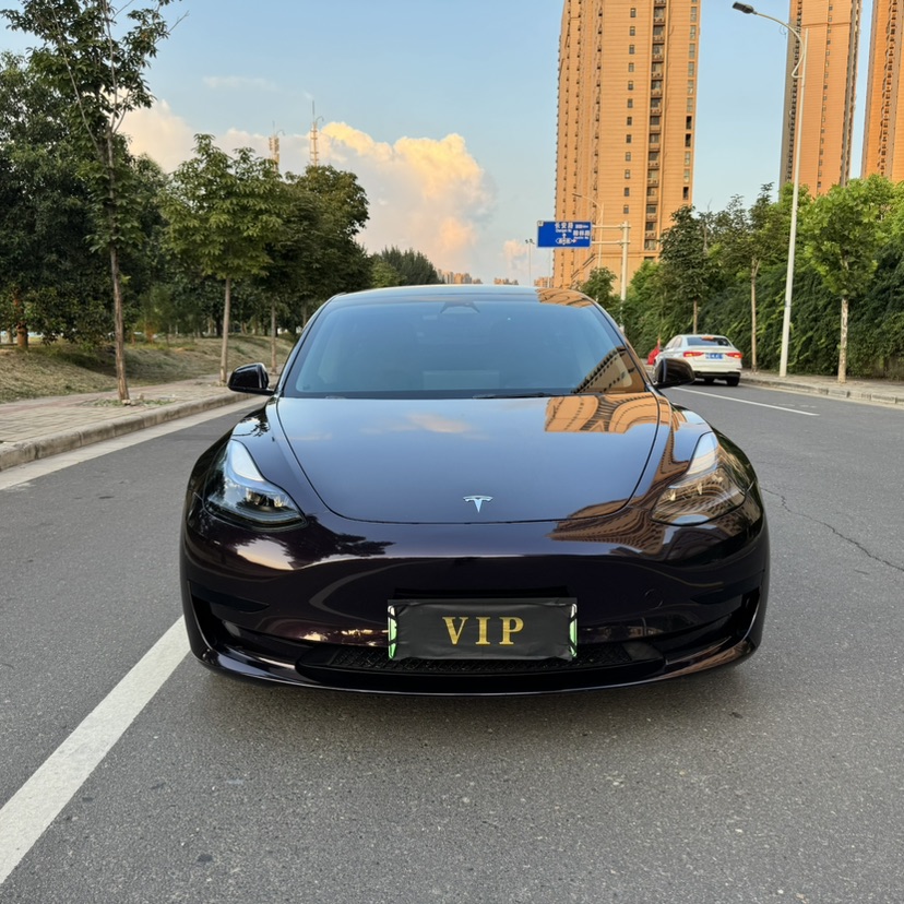 Tesla Model 3 2022 #2 Tesla Model 3 2022 car image #2
