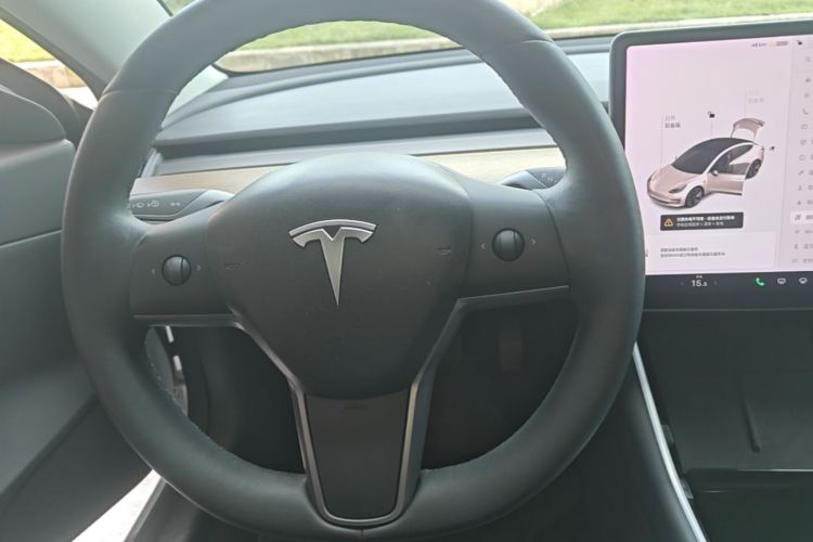 Tesla Model 3 2020 #11 Tesla Model 3 2020 car image #11