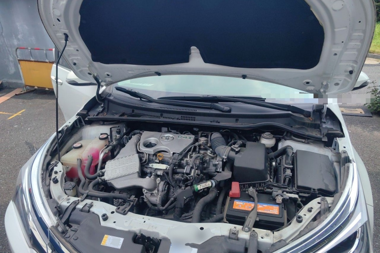 Toyota Corolla 2019 #18 Toyota Corolla 2019 car image #18