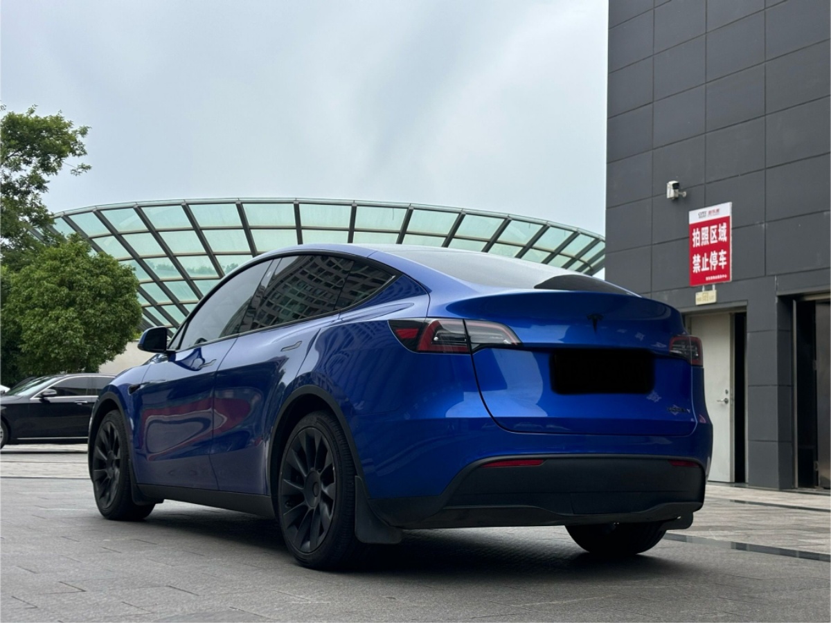 Tesla Model Y 2021 car image #8