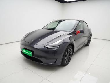 Tesla Model Y 2022 Tesla Model Y 2022 car image