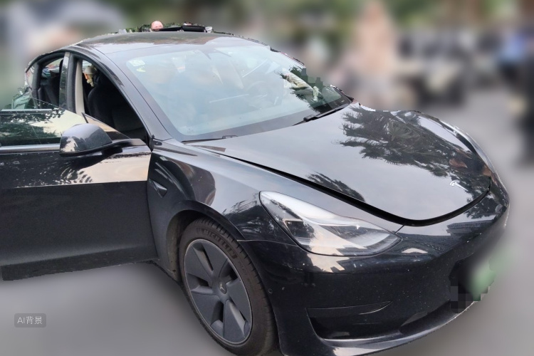Tesla Model 3 2021 car image #4