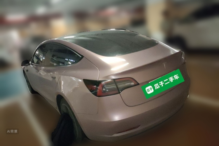 Tesla Model 3 2022 car image #5