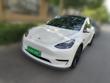 Tesla Model Y 2023 Tesla Model Y 2023 car image