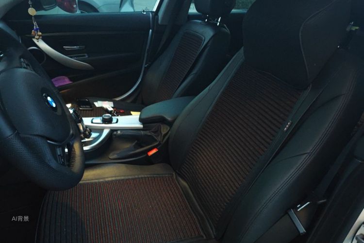 BMW 3 Series GT 2017 car image #17