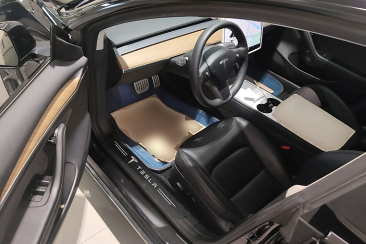 Tesla Model 3 2021 immagine di auto #16