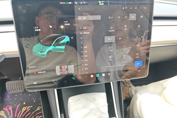 Tesla Model 3 2020 car image #17