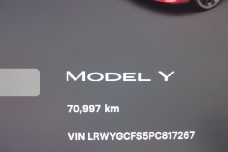 Tesla Model Y 2023 #8 Tesla Model Y 2023 car image #8