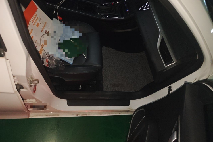 GEELY Emgrand 2019 #23 GEELY Emgrand 2019 car image #23