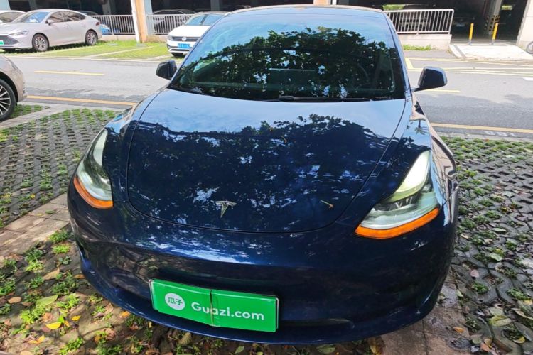 Tesla Model 3 2021 #3 Tesla Model 3 2021 car image #3