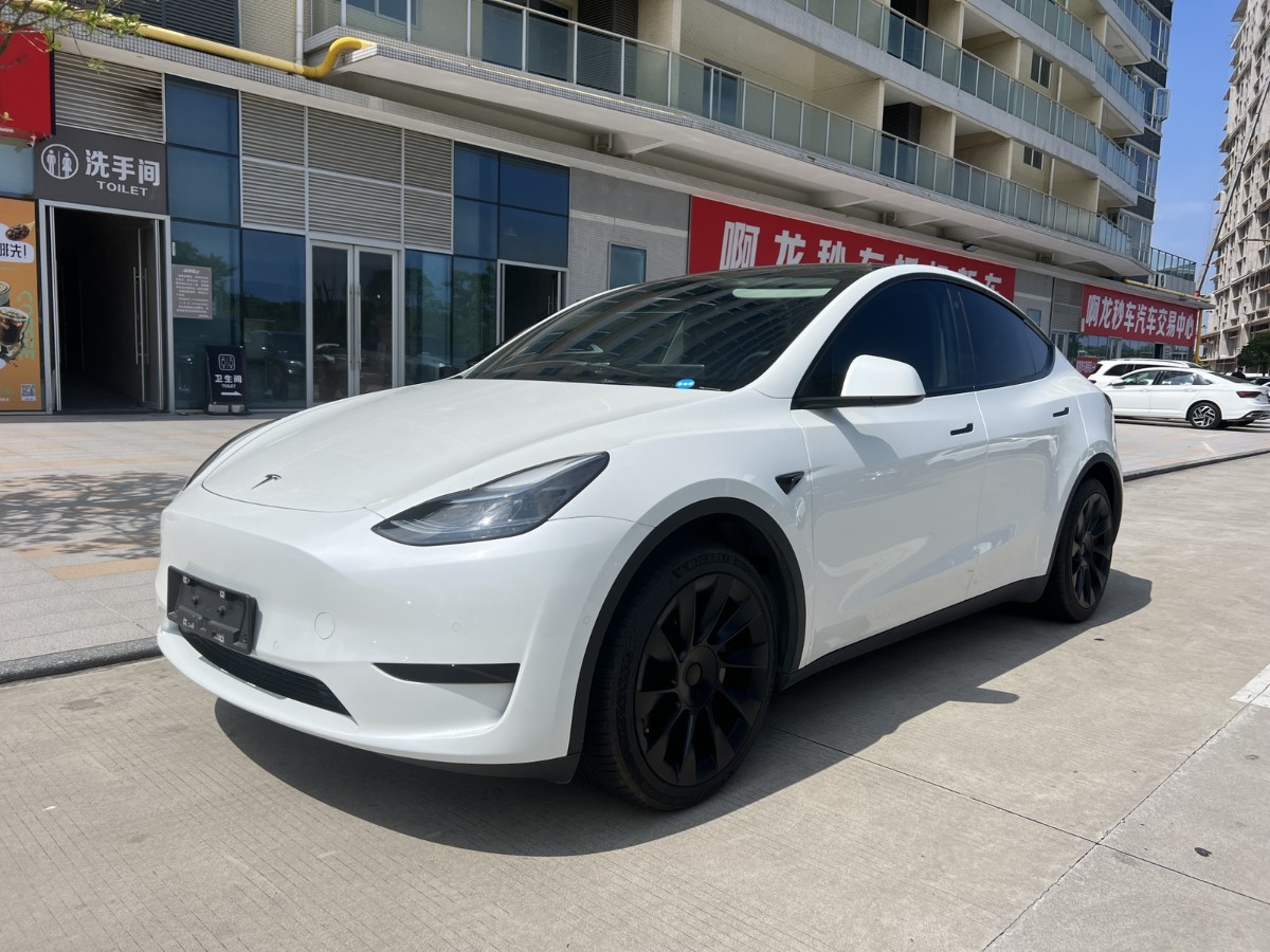 Tesla Model Y 2023 Tesla Model Y 2023 car image