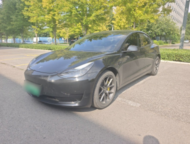 Tesla Model 3 2021 Tesla Model 3 2021 car image