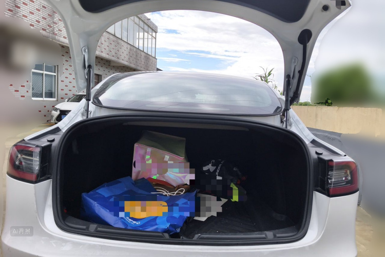 Tesla Model 3 2020 car image #21
