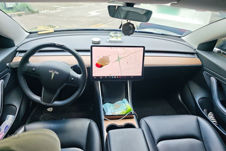 Tesla Model 3 2020 car image #11
