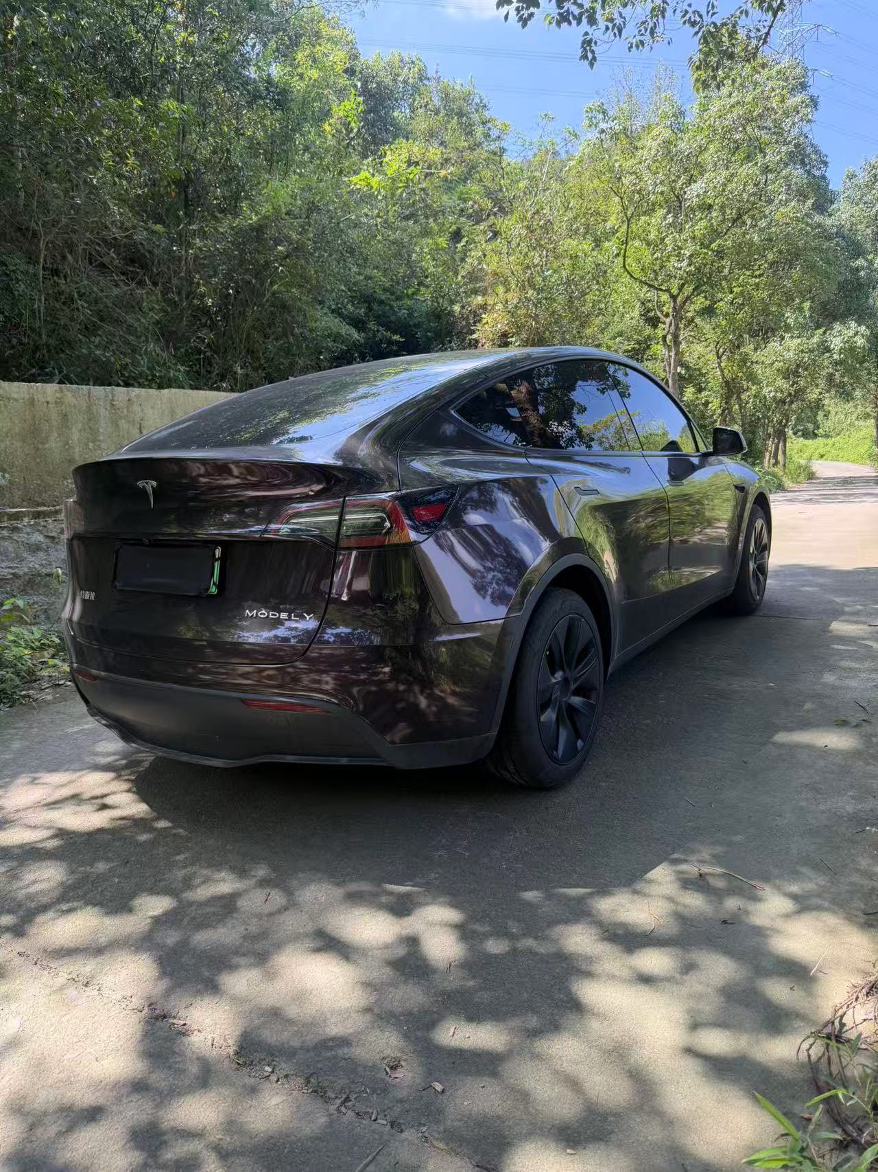 Tesla Model Y 2025 car image #6