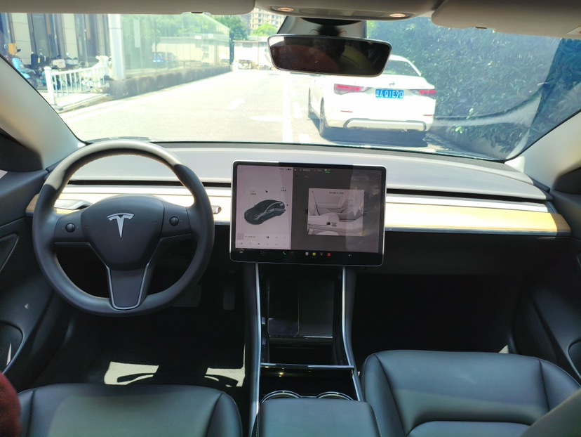 Tesla Model 3 2020 car image #6
