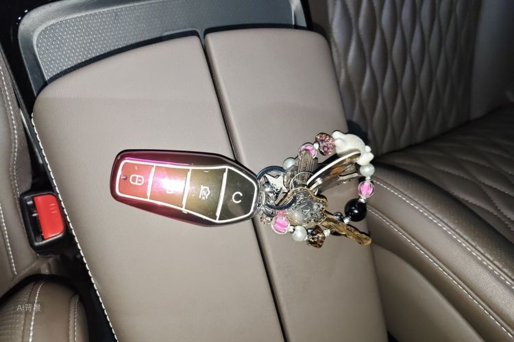 BYD Han 2022 car image #10