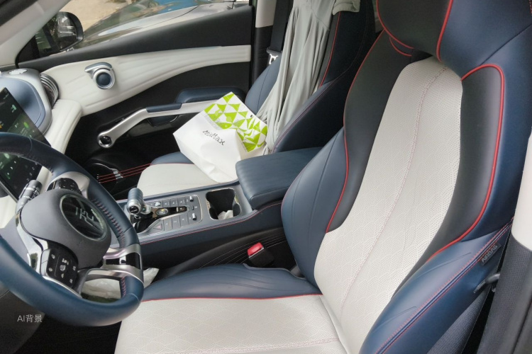 BYD Yuan Plus 2023 car image #17