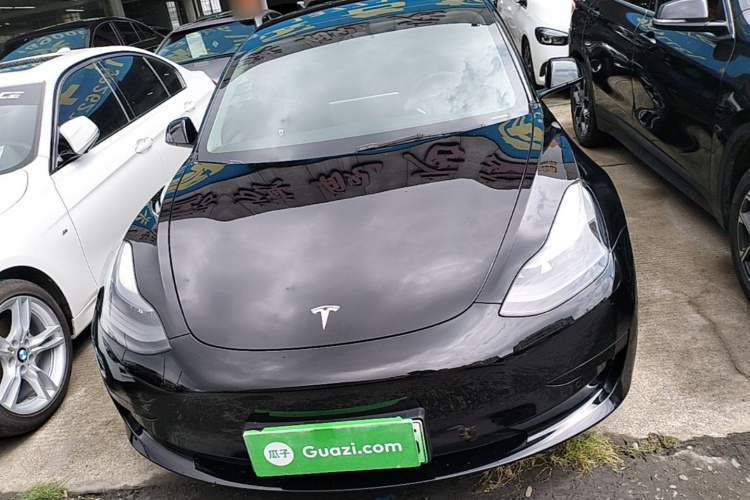 Tesla Model 3 2021 #3 Tesla Model 3 2021 car image #3