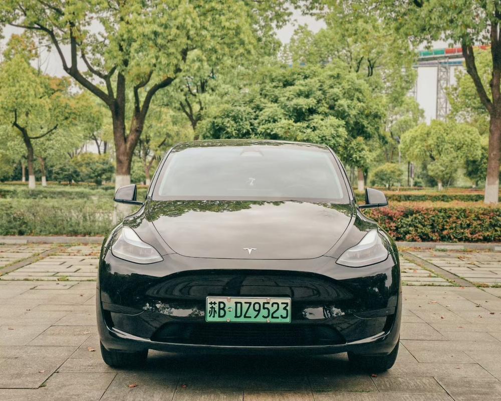 Tesla Model Y 2023 car image #2