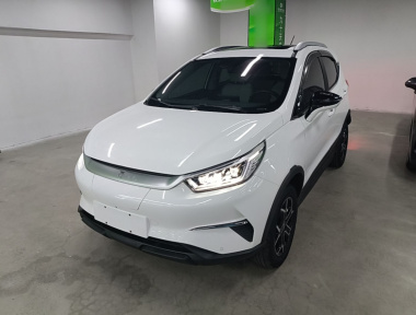 BYD Yuan Pro 2022 car image 