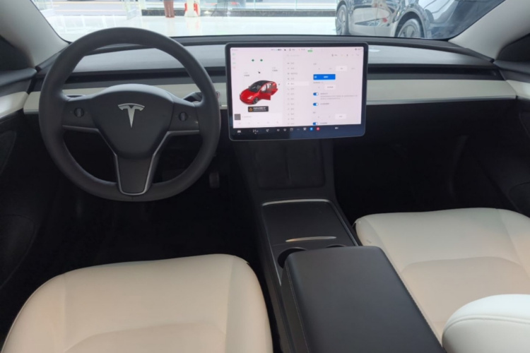 Tesla Model 3 2021 immagine di auto #10