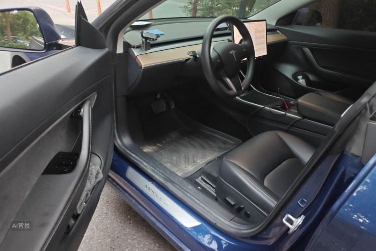 Tesla Model 3 2020 car image #18