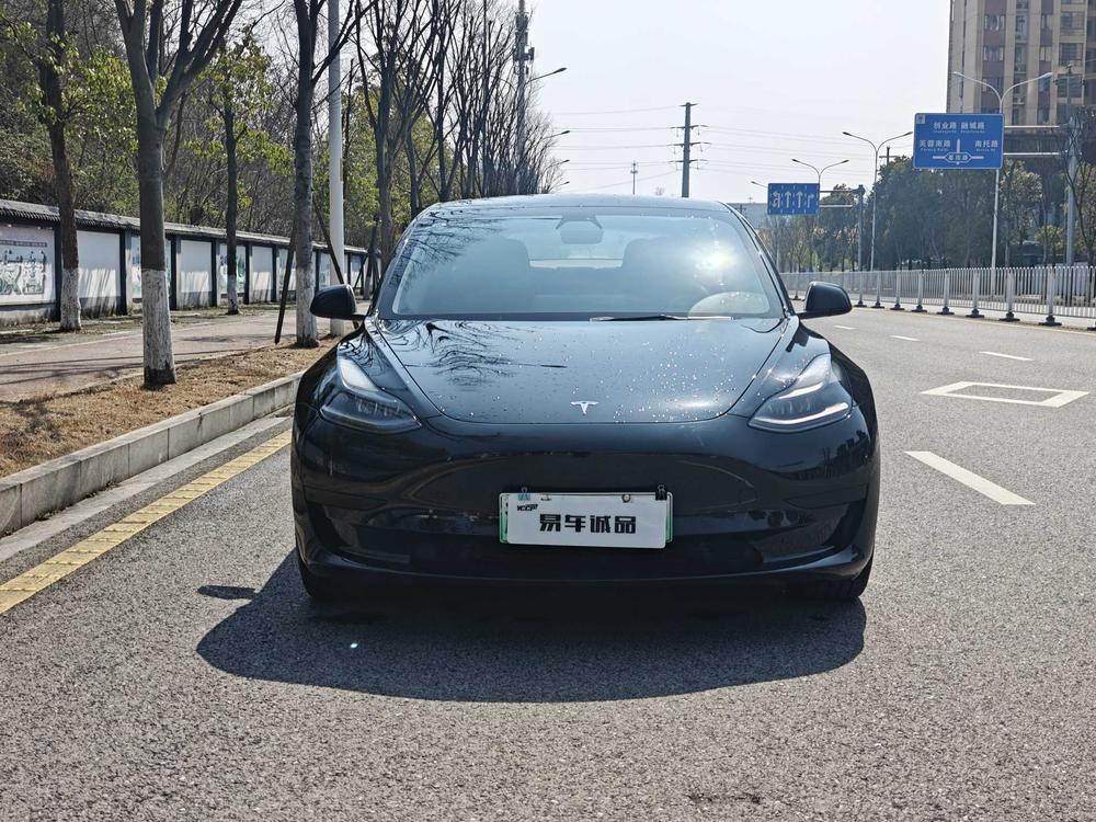 Tesla Model 3 2022 immagine di auto #2