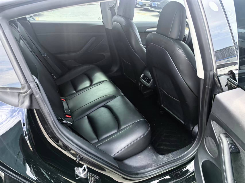 Tesla Model 3 2021 #3 Tesla Model 3 2021 car image #3