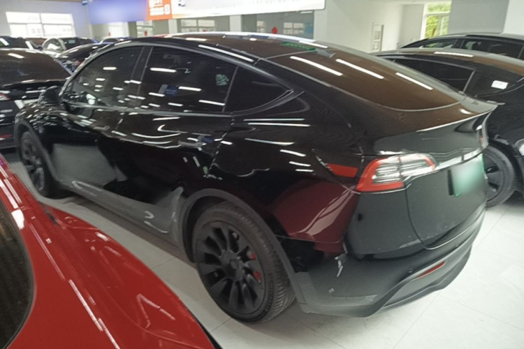 Tesla Model Y 2023 #7 Tesla Model Y 2023 car image #7