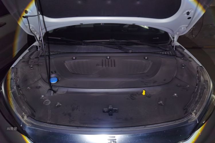 BYD Yuan Plus 2023 car image #22