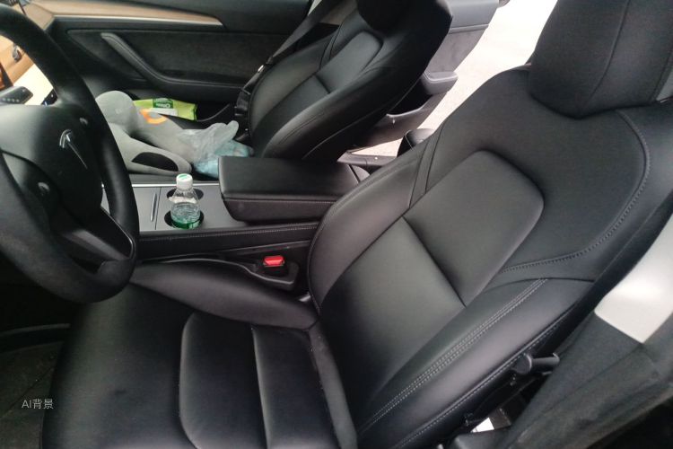 Tesla Model 3 2021 #17 Tesla Model 3 2021 car image #17