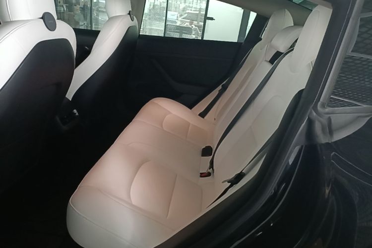 Tesla Model 3 2021 #17 Tesla Model 3 2021 car image #17