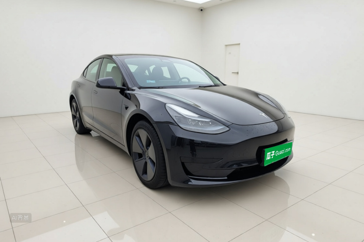 Tesla Model 3 2022 car image #4