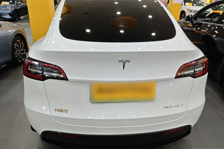 Tesla Model Y 2022 immagine di auto #6