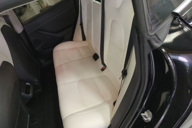 Tesla Model 3 2021 #17 Tesla Model 3 2021 car image #17