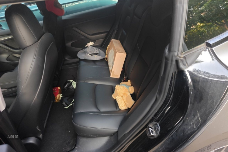 Tesla Model 3 2023 car image #19
