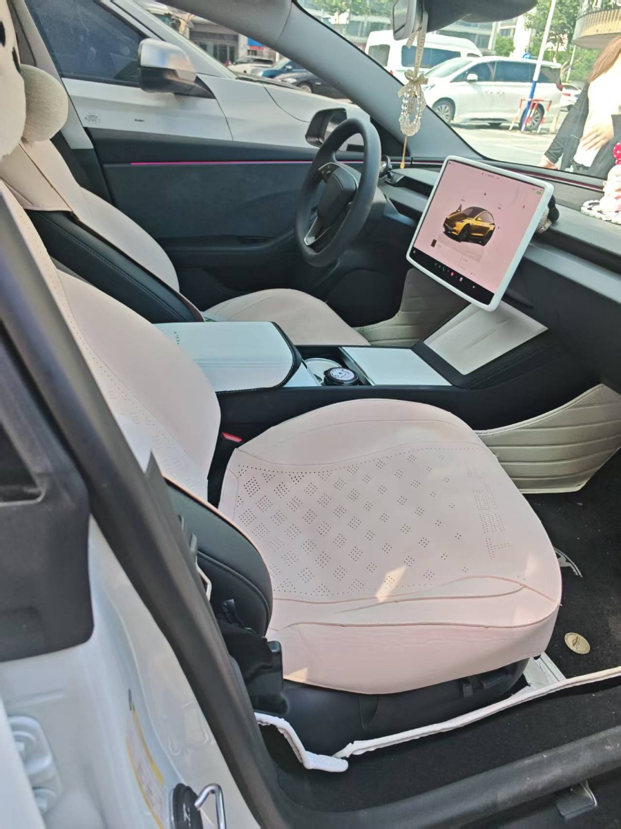 Tesla Model 3 2026 car image #6