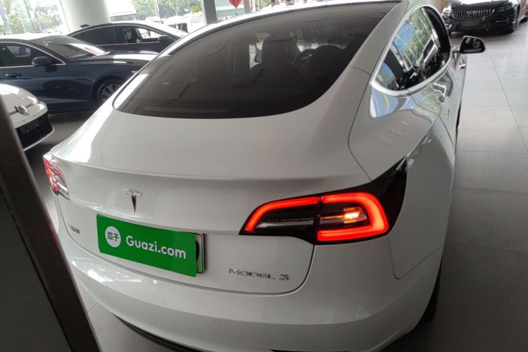 Tesla Model 3 2020 car image #6