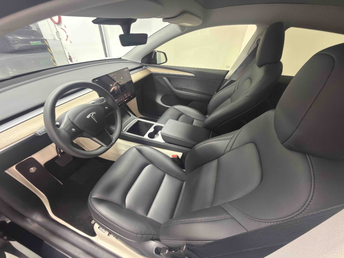 Tesla Model Y 1969 car image #9