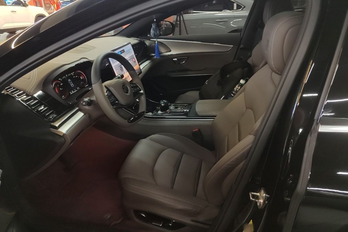 BYD Han 2021 car image #12