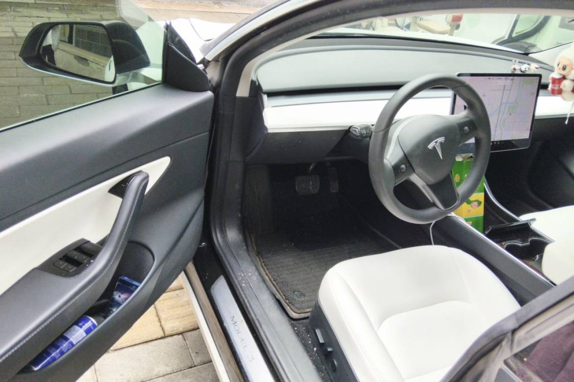 Tesla Model 3 2020 car image #23