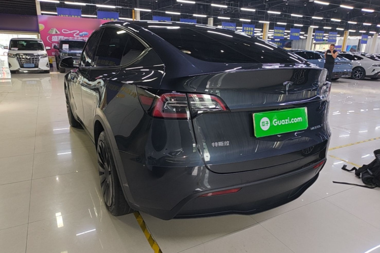 Tesla Model Y 2025 car image #7