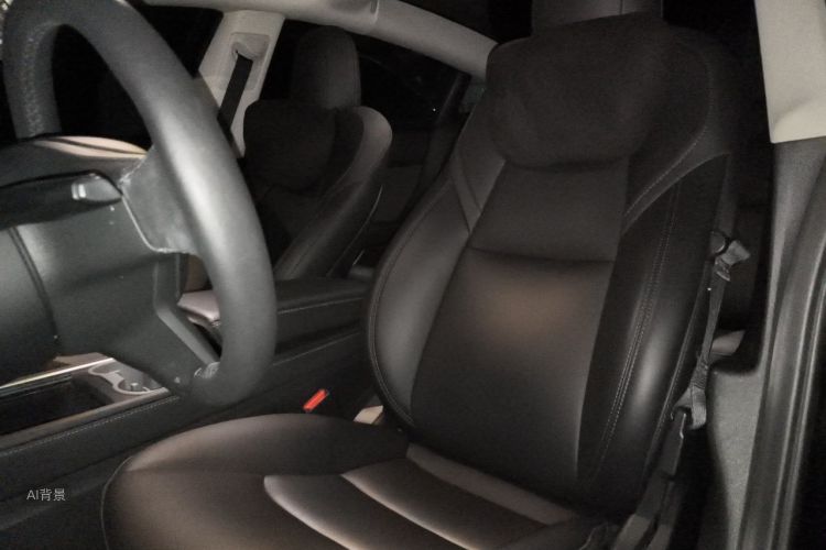 Tesla Model 3 2021 #17 Tesla Model 3 2021 car image #17