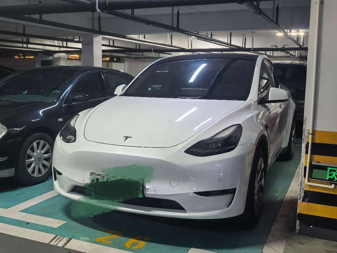 Tesla Model Y 2021 Tesla Model Y 2021 car image