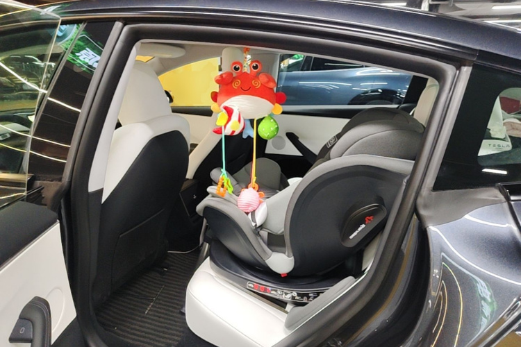 Tesla Model 3 2023 #13 Tesla Model 3 2023 صورة سيارة #13