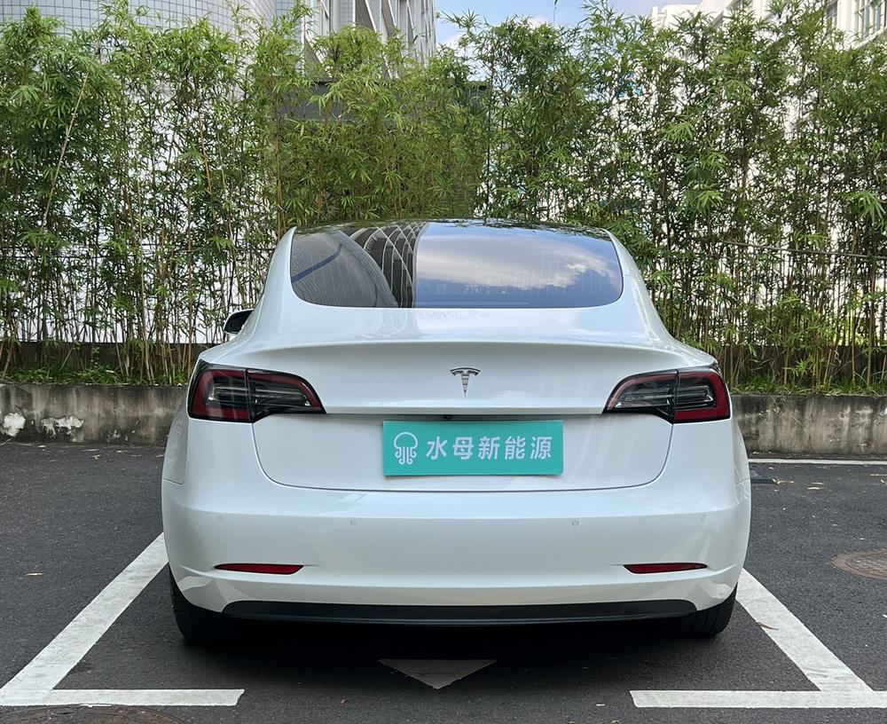 Tesla Model 3 (Imported) 2020 #5 Tesla Model 3 (Imported) 2020 car image #5